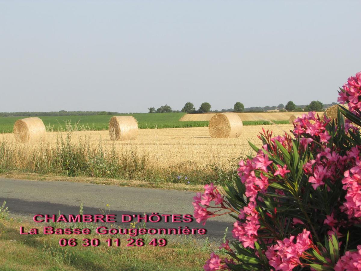 Chambre D'Hotes La Basse Gougeonniere Neuvy-en-Mauges エクステリア 写真